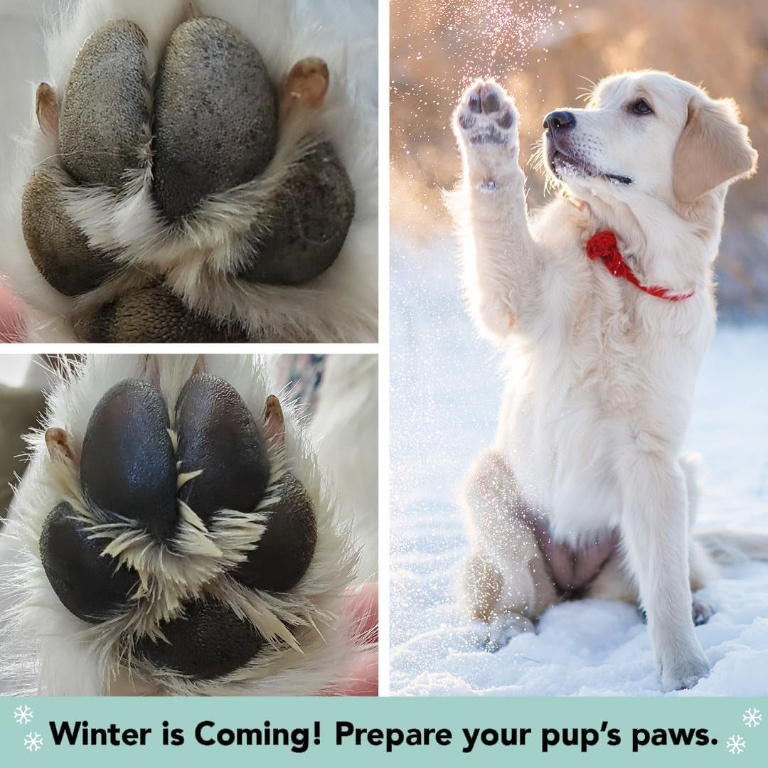 Pawtection Balm for Dogs, Dog Paw Protector, Moisturizing Dog Paw Balm for Dry, Cracked Pad, Protects Paw from Extreme Weather, Paw Lotion for Allergies & Itching (0.15 Oz Stick)