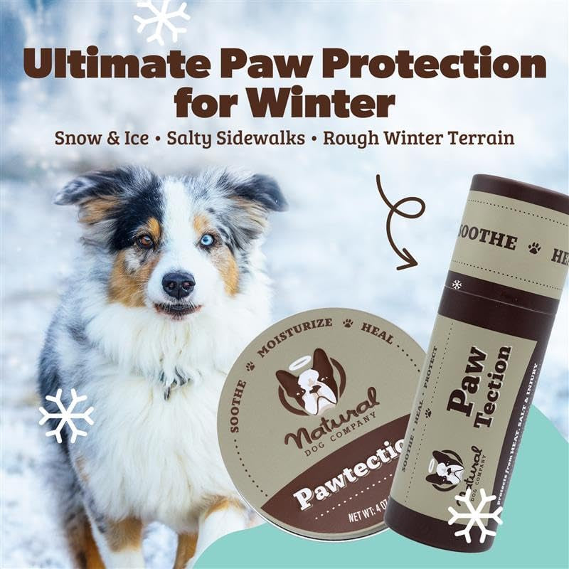Pawtection Balm for Dogs, Dog Paw Protector, Moisturizing Dog Paw Balm for Dry, Cracked Pad, Protects Paw from Extreme Weather, Paw Lotion for Allergies & Itching (0.15 Oz Stick)